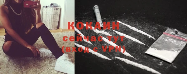 spice Алзамай