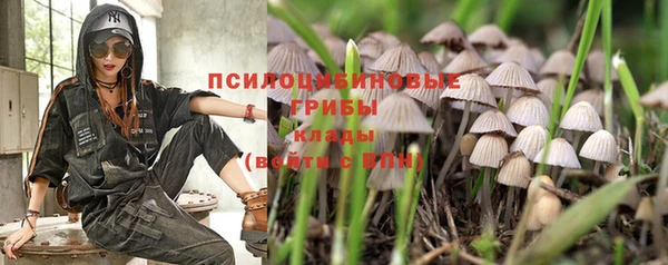 мескалин Медвежьегорск